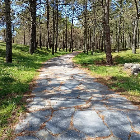 Piso Playa Langosteira Apartment *