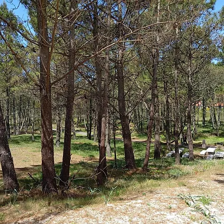 Piso Playa Langosteira * Finisterre